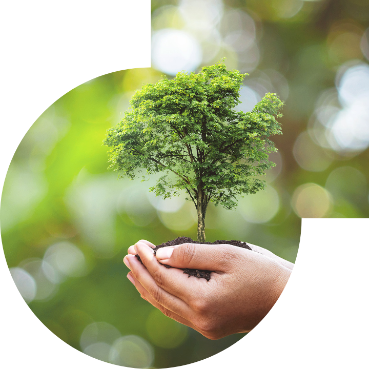 关怀人类、文化、环境与社会